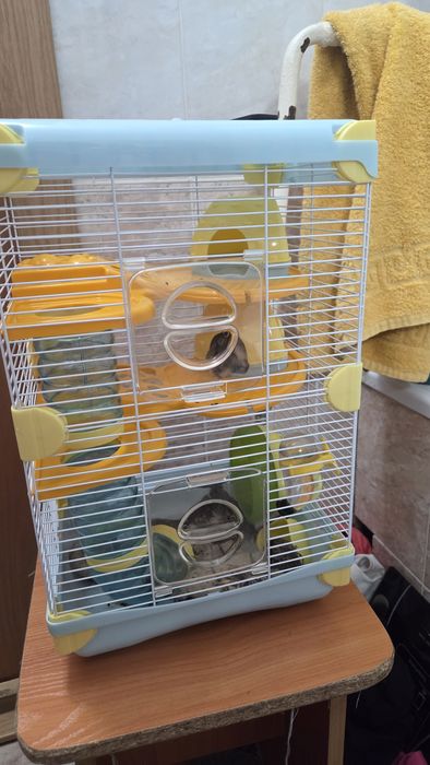 Продам клетку с хомяками