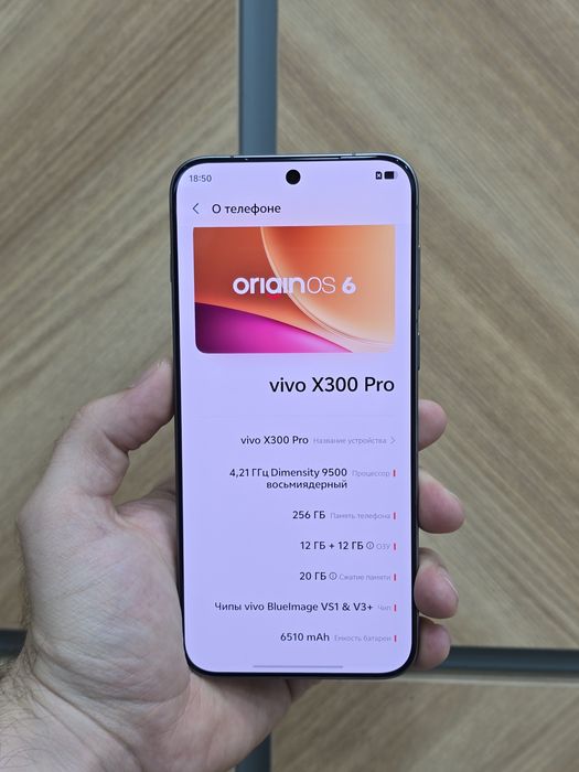 Vivo  X300 Pro 12/256 GB Full