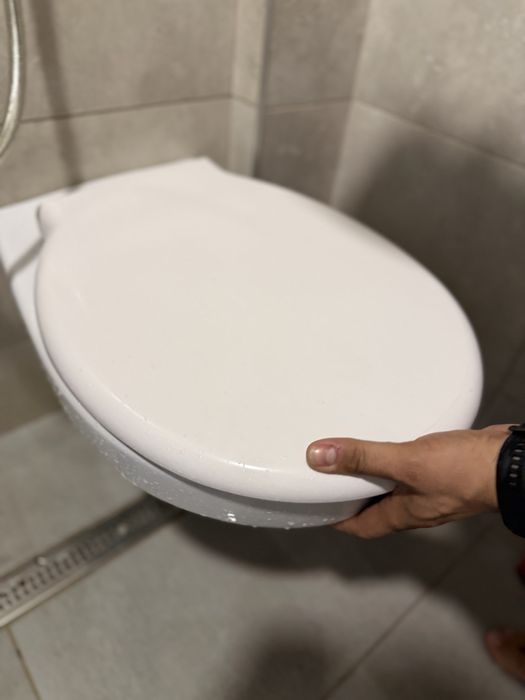 Wc suspendat cu capac