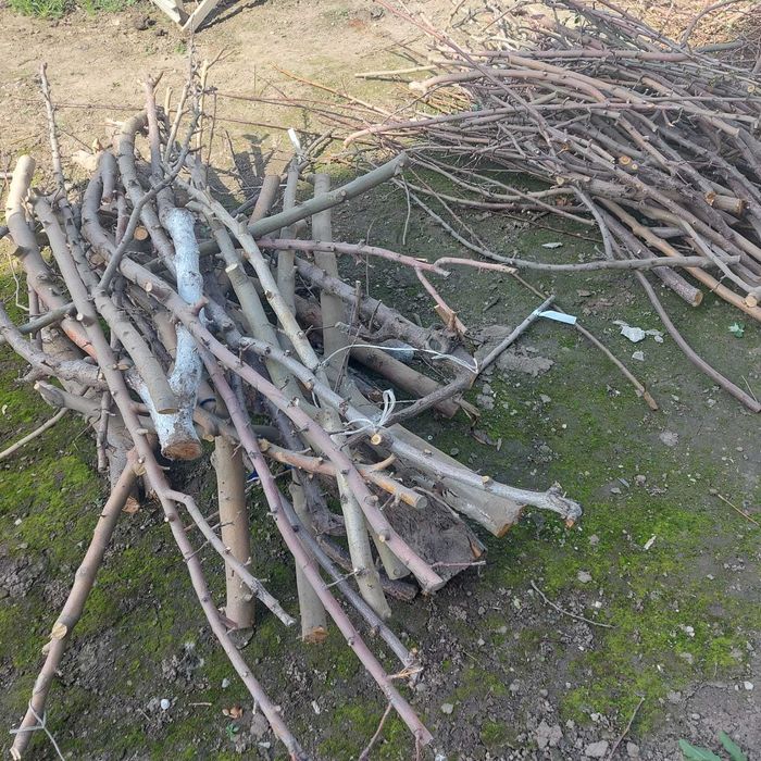 Дрова плодовых деревьев и каштана