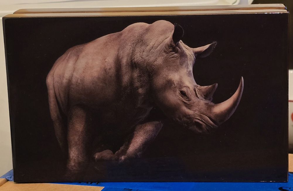 Africa de Sud Big 5 Five I, II si III monede lingou argint pur 999