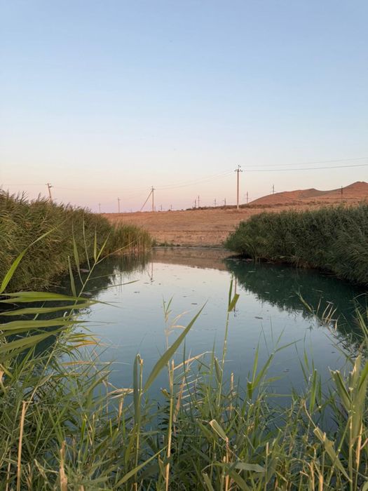 продается фазенда