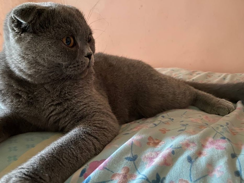 Sotilmaydi. VYAZKAGA