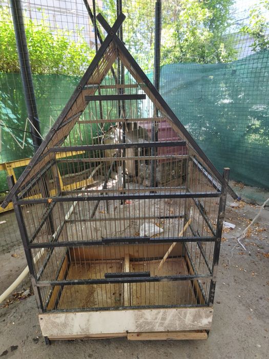 Продам клетку для попугаев