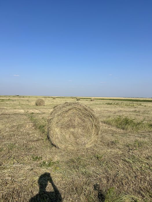 сено рулон с место