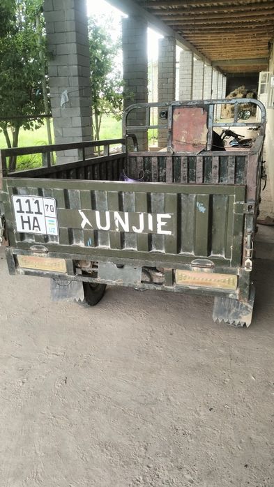 Элон муравей сотлади