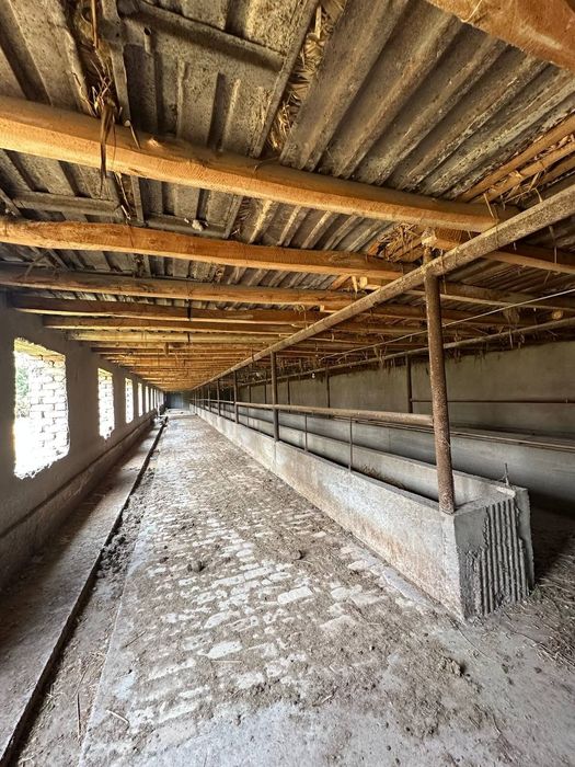 Срочно продается ферма 24 сотки Янгиюль Захарьевский