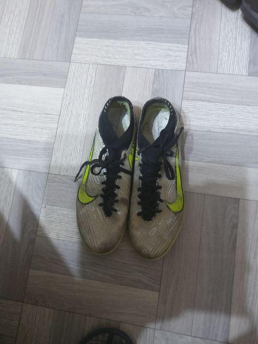 Сороконожки   сороконожки