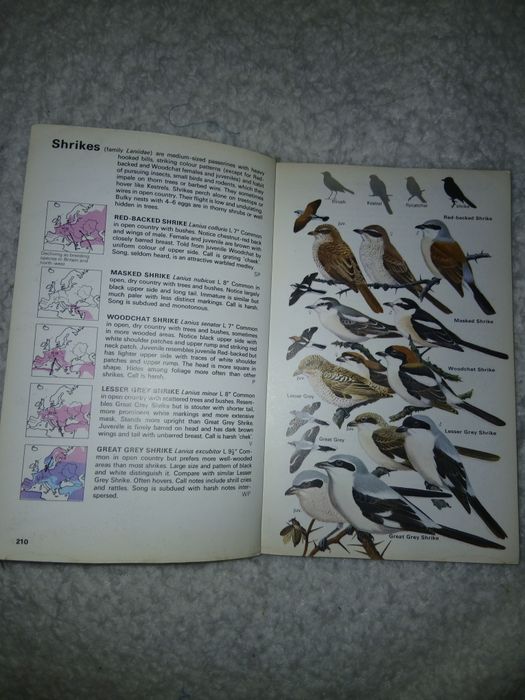 Уникален! Определител на птиците The Hamlyn Guide to Birds
