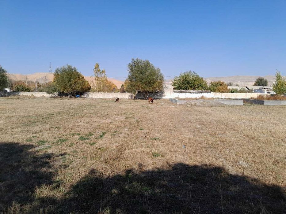 Yer uchastkasi sotiladi