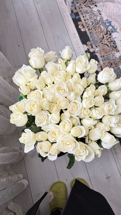 Белые розы цветы