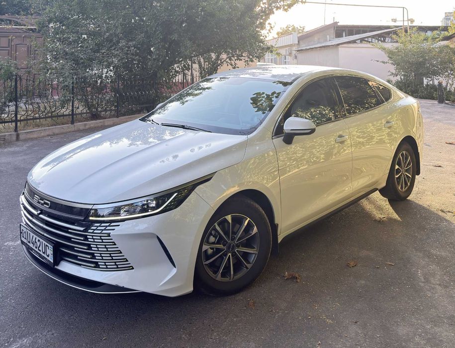 BYD Chazor 1 pozitsiya