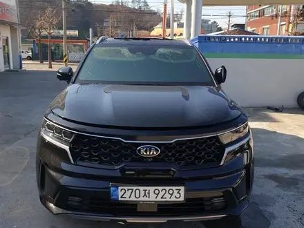 Ноускат на KIA (киа)