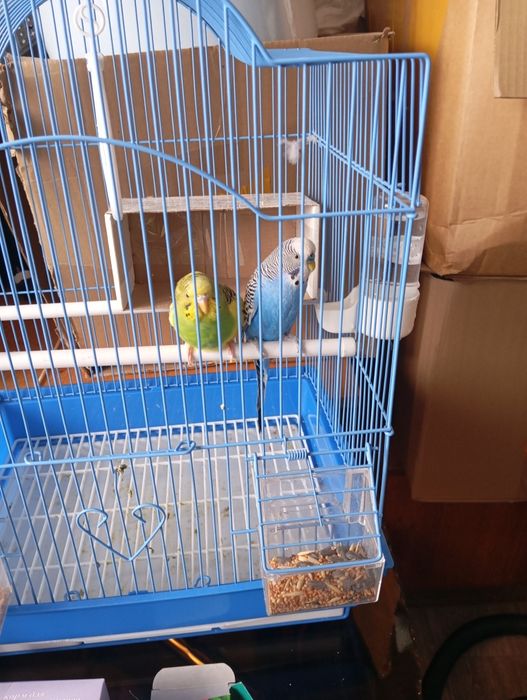 Продам    продам