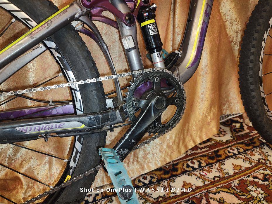 Giant Intrigue БЕЗ ТОРГА 500