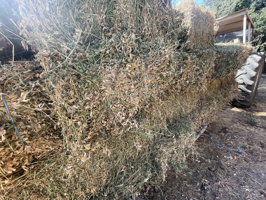 Baloti lucerna   coasa a 4a 25 kg, fan