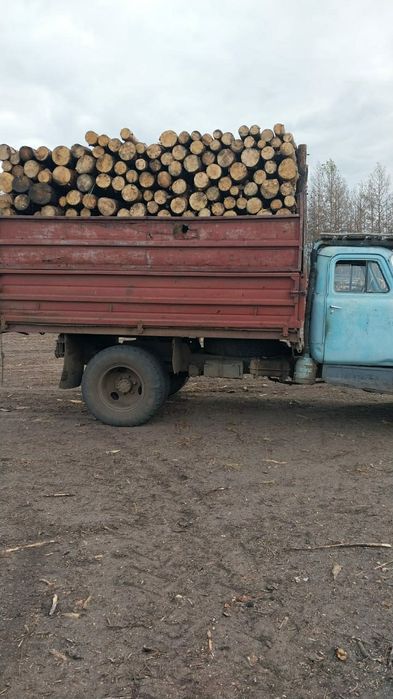 Дрова 2х метровые