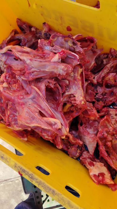 Косточки, колбаса для собак и кошек