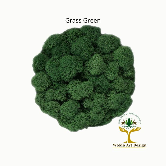 Тотална разпродажба Скандинавски мъх - първо качество