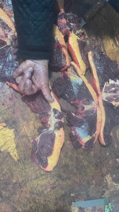 Продам мясо конины