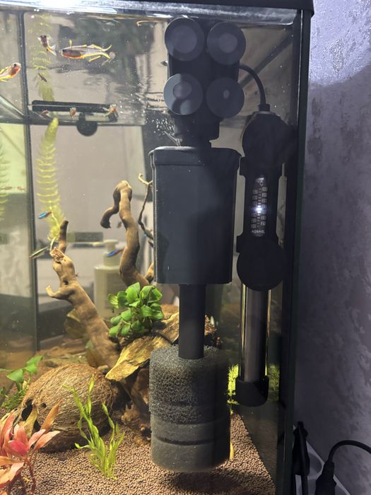 Аквариум 50 л + 10 л полные комплекты в Рассрочку. Ред.