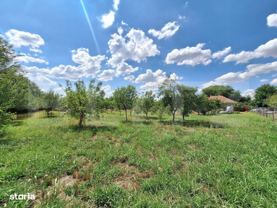 Casa cu teren intravilan, 4600 mp, investiitii/dezvoltare!