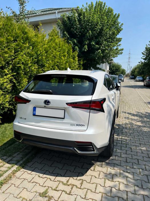 LEXUS NX 2019 — imagine 8