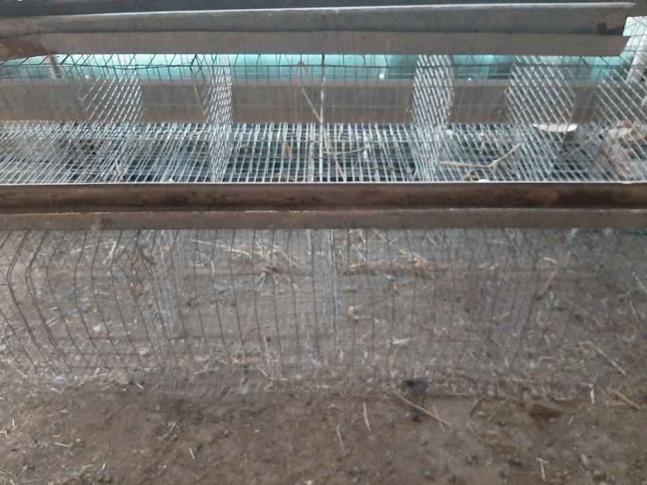 товук сеткалари сотилади