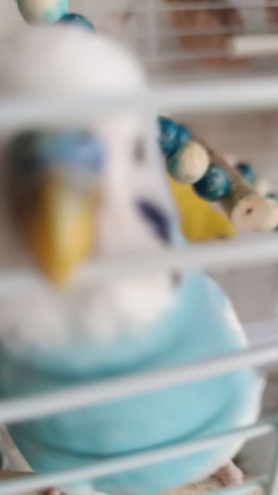 Велосипед Macoge Tank 300.