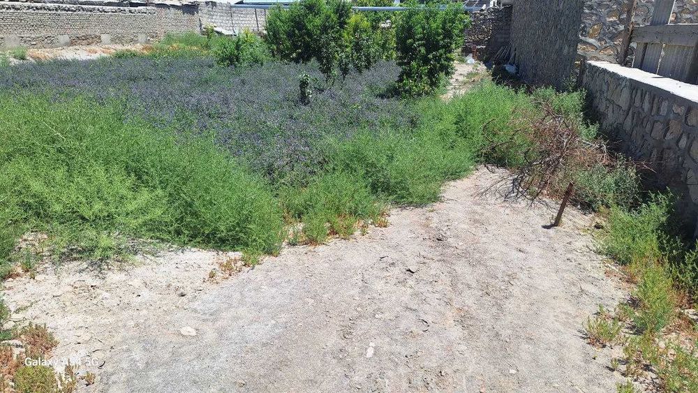 Когон шахар масла завод рупарасида 7 сотихли тугалланмаган курилиш.