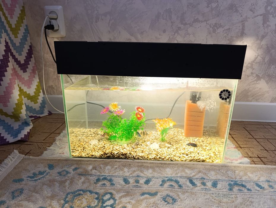 Продаю Аквариум с рыбками