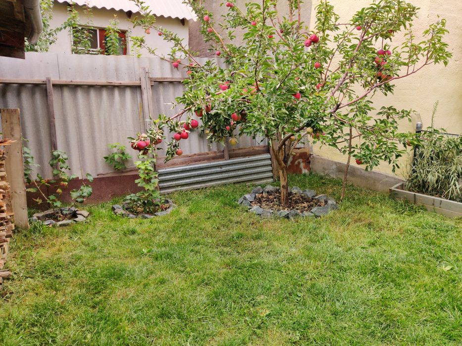 Частный дом, с мансардой