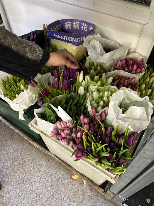 Продаются тюльпаны по дешевой цене