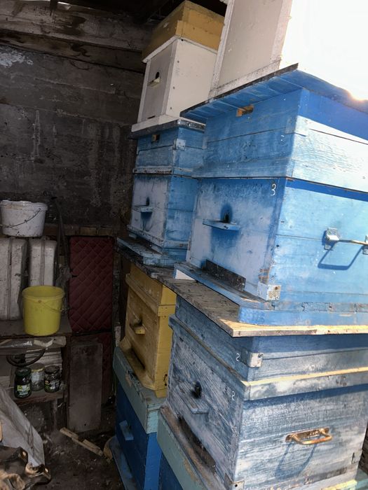 Продам улья для пчел