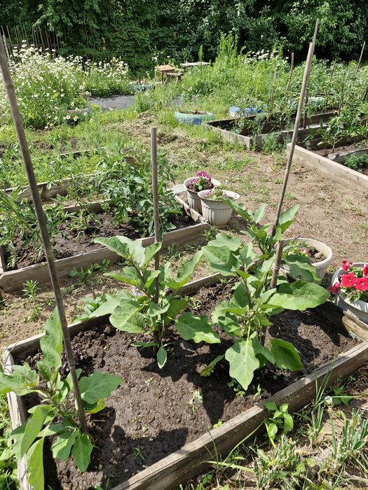 Продам дачу садоводство Металлург