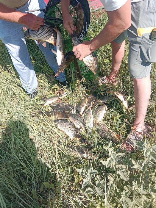 Отдых и рыбалка Балхаш