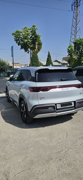 Byd Yuan Up 2024