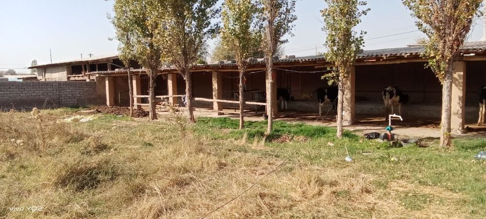 Yer sotiladi 6 sotix(SROCHNO)