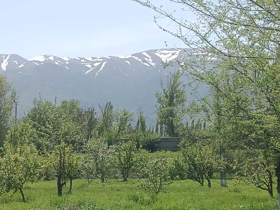 Сдается тапчан в районе Бургулюка.
