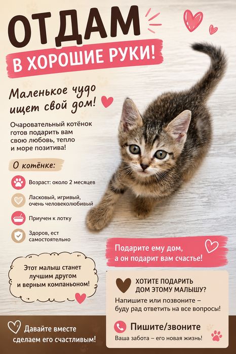 Котёнок маленький девочка