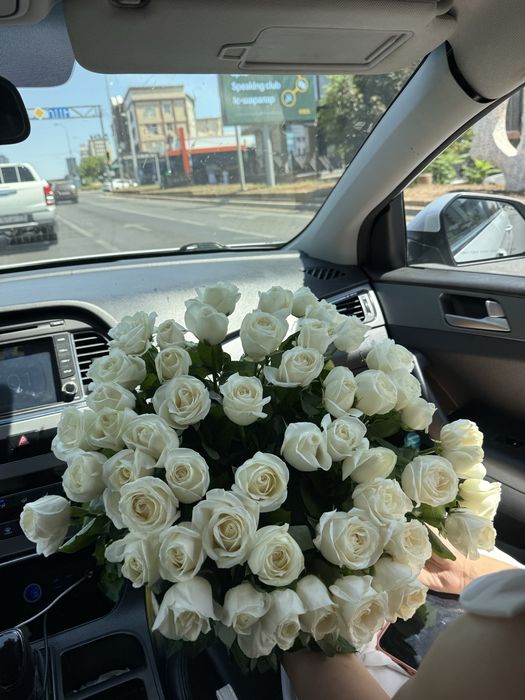 свежие 51 белые розы 70см