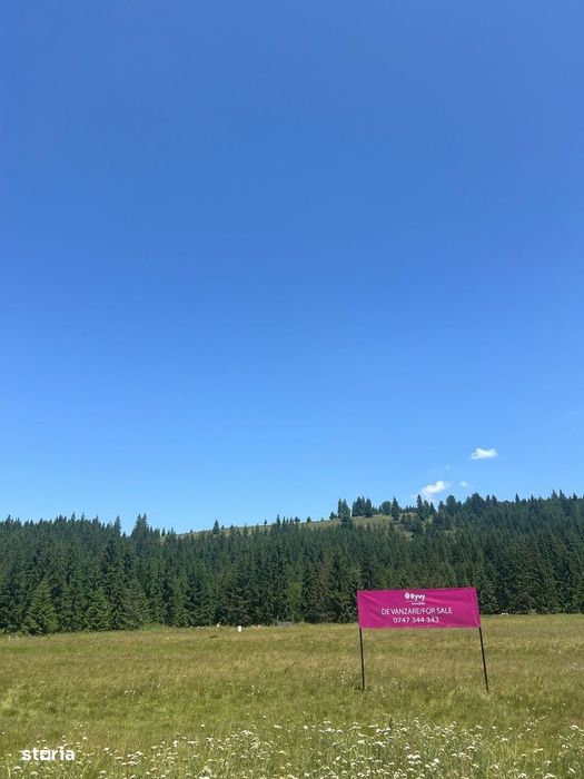 Oportunitate În Inima Naturii-Teren Intravilan, Comandău, Covasna