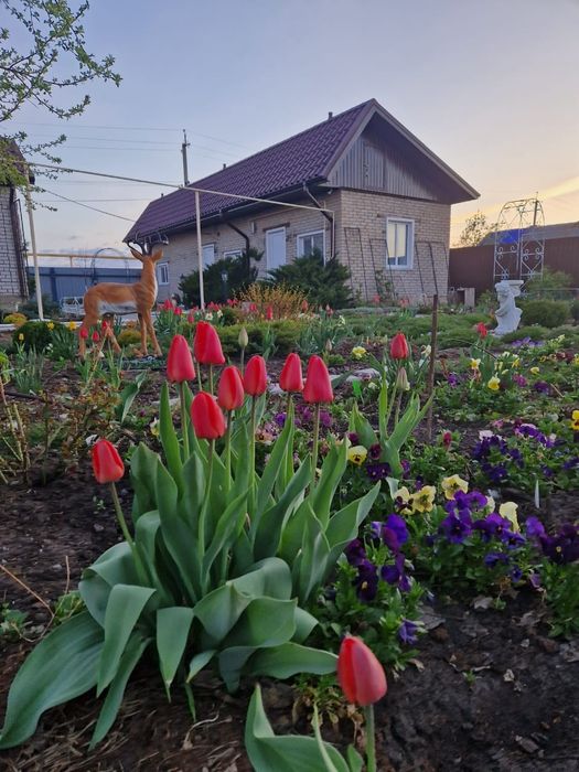 Продам дом коттедж.