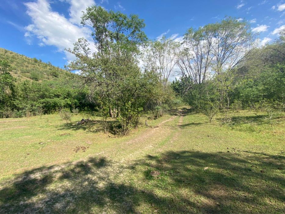 Супер Фазенду продам