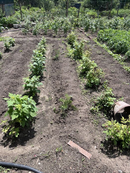 Продам дачу на берегу реки Деркул