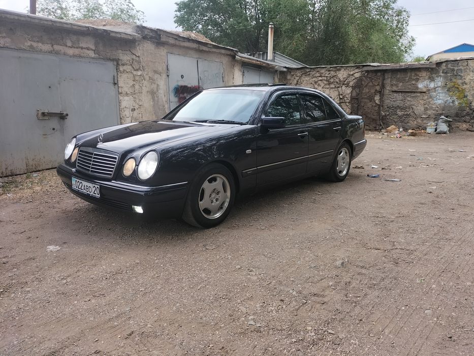 Продам живой Лупарик