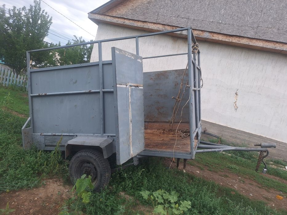 Пырцеп жақсы жақдаида