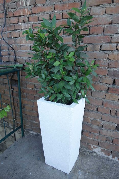 Авторски циментови кашпи