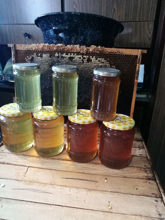 Vând Miere Salcâm și polifloră.