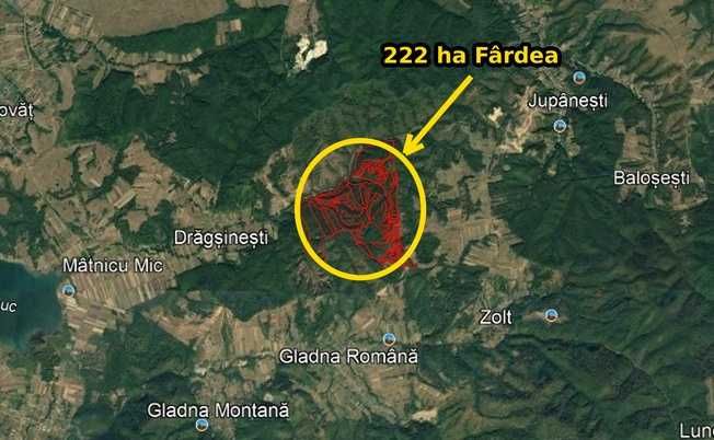 Padure de vanzare Timis: 140 ha Ohaba Lunga + 222 ha Fardea